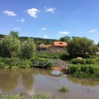busha_ukraini