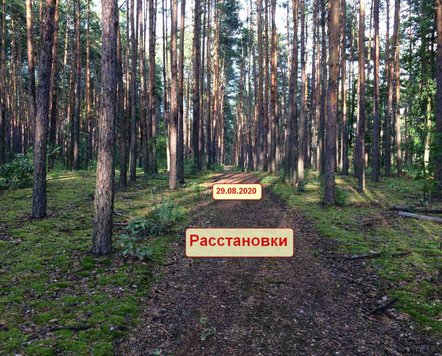 одесса_расстановки