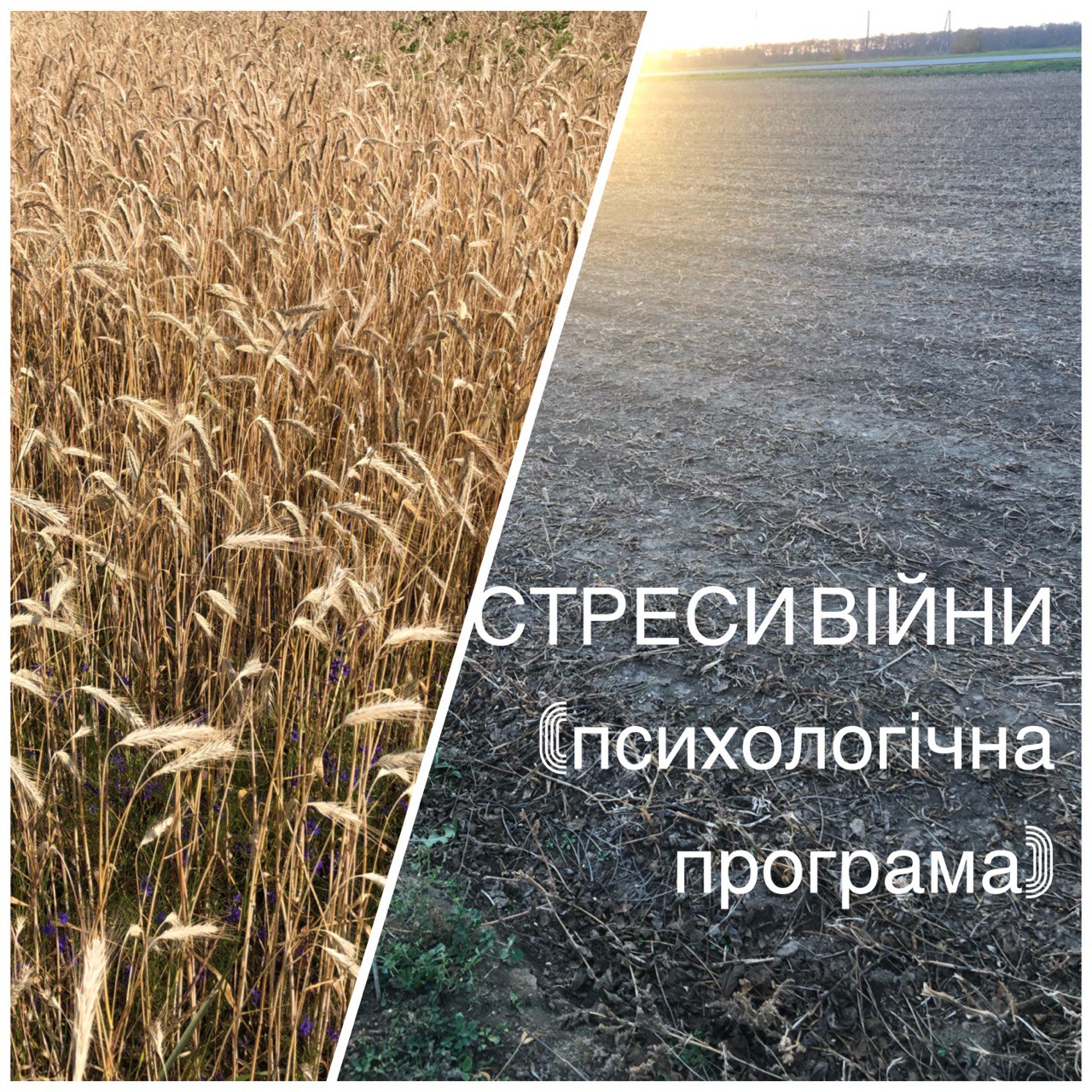 стреси_війни_психологічна_допомога