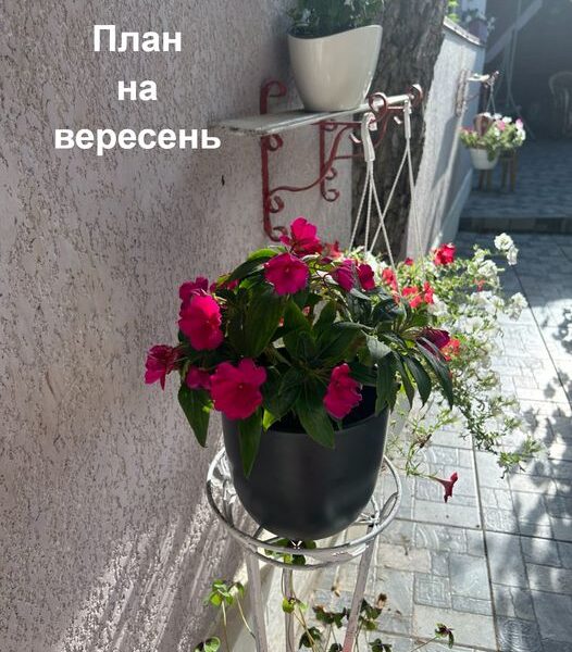 сентябрь_расстановки