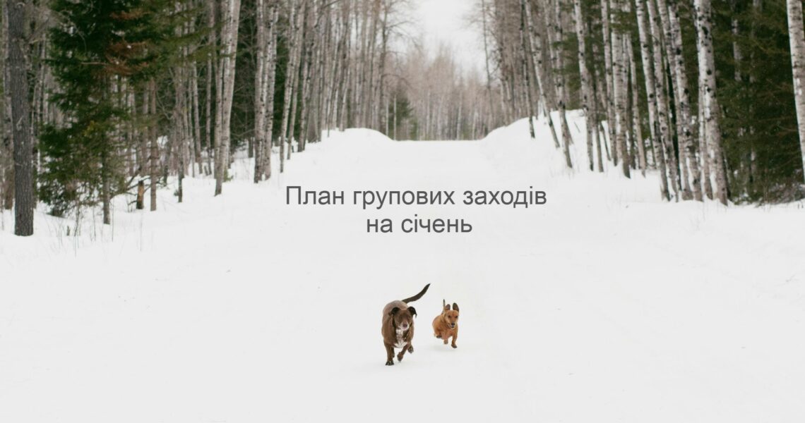 розстановки_січень _2025